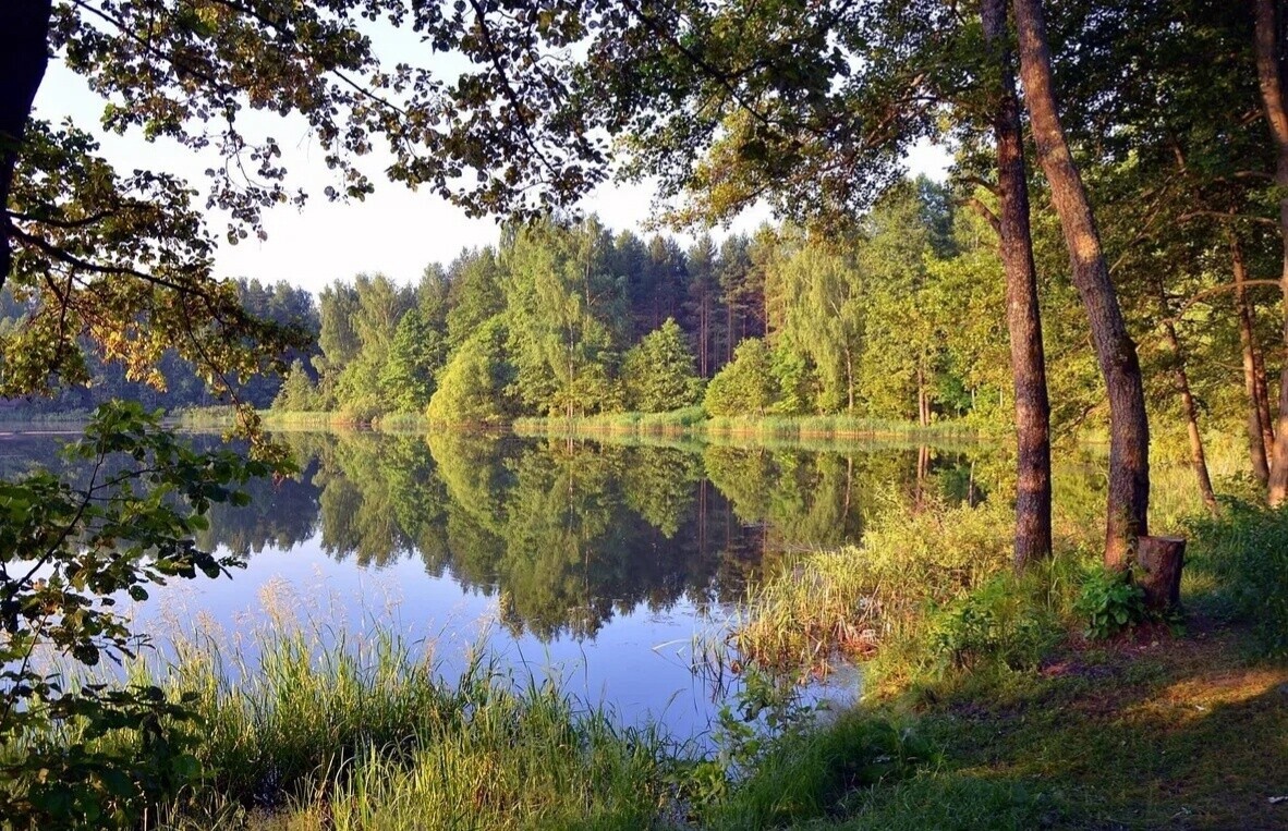 6mPDJzKDVHcK1U0KYu8QpO6VmkzGKRJ8dlA47ivwlCdXzUrx2aQMTtoA0HuFT32Z-4USuJk1puV140Hp18wMJ0wW