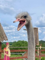 0y5MuEnrNmt2pa4fyQV220_GVc_6B7ASfmJV0dm5CZo1WmXMljxYUbwa9O7N39PyWP950P0jKTIsOMTqvInDZg8m