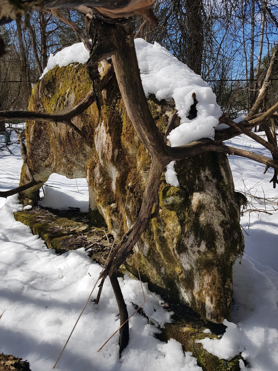 0yXQYoZUf7sMbMLDtaf-QDwbIK_FWYxK32bStqQiZKgj7gAMYZxPCzvp6e_ghQRHSYAdr_3Vr4YmuaKcxq0PaIzU