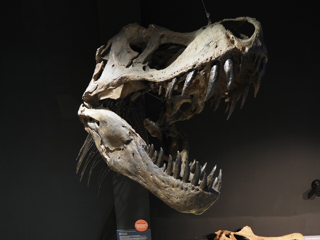 0VbSKpj8WcOMTfIixsDpoAXZzSY44Od2sVGH8i0BO7m4Z23Qo3siTU5z4b7rHLBqF0ldwgdRpCjz_2JsvRNDGZtR