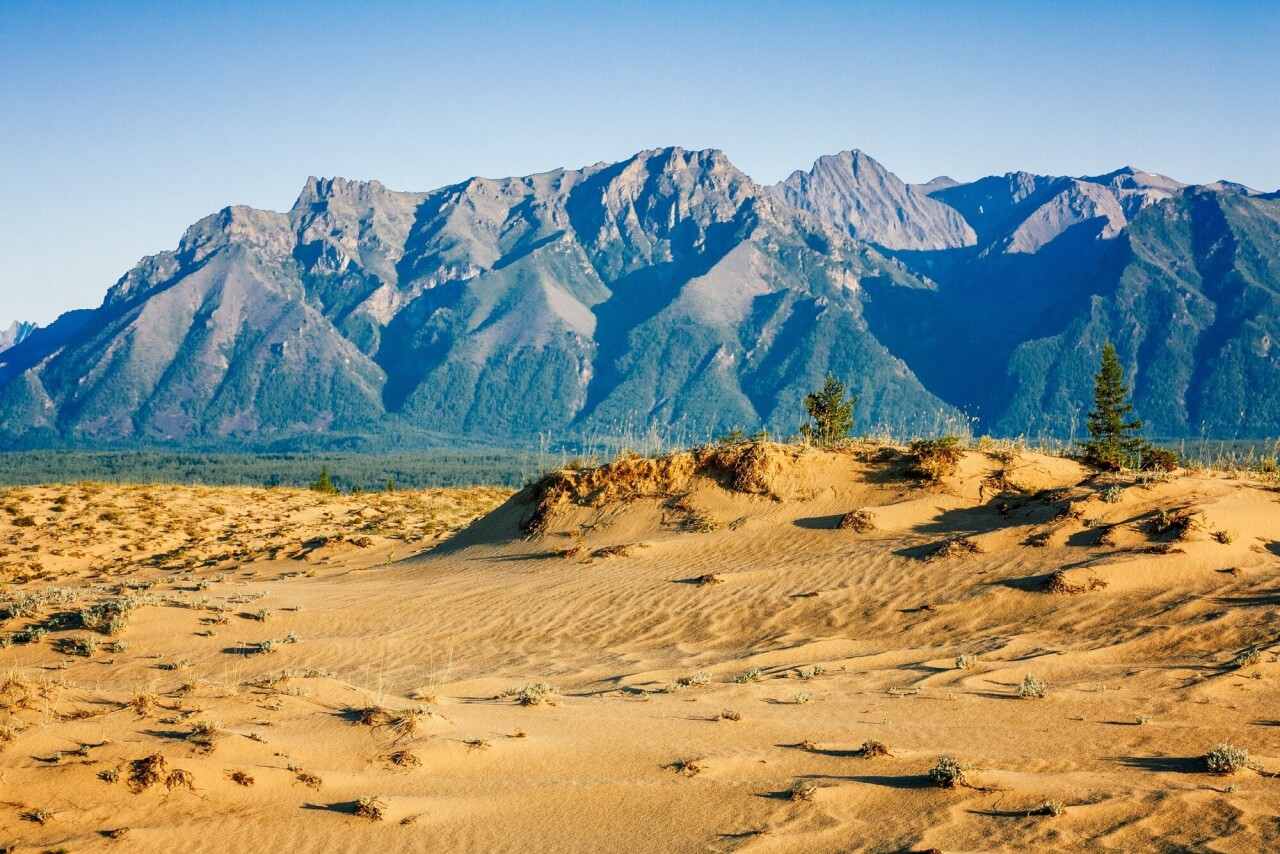 rDoWtH-4v8ubK81X0fEULa2aDIoXt7TIwu989O71PvpZLrgfwk1gEVjBk59T2wrzHPqnKp9hW4NciDsfayevrvjx